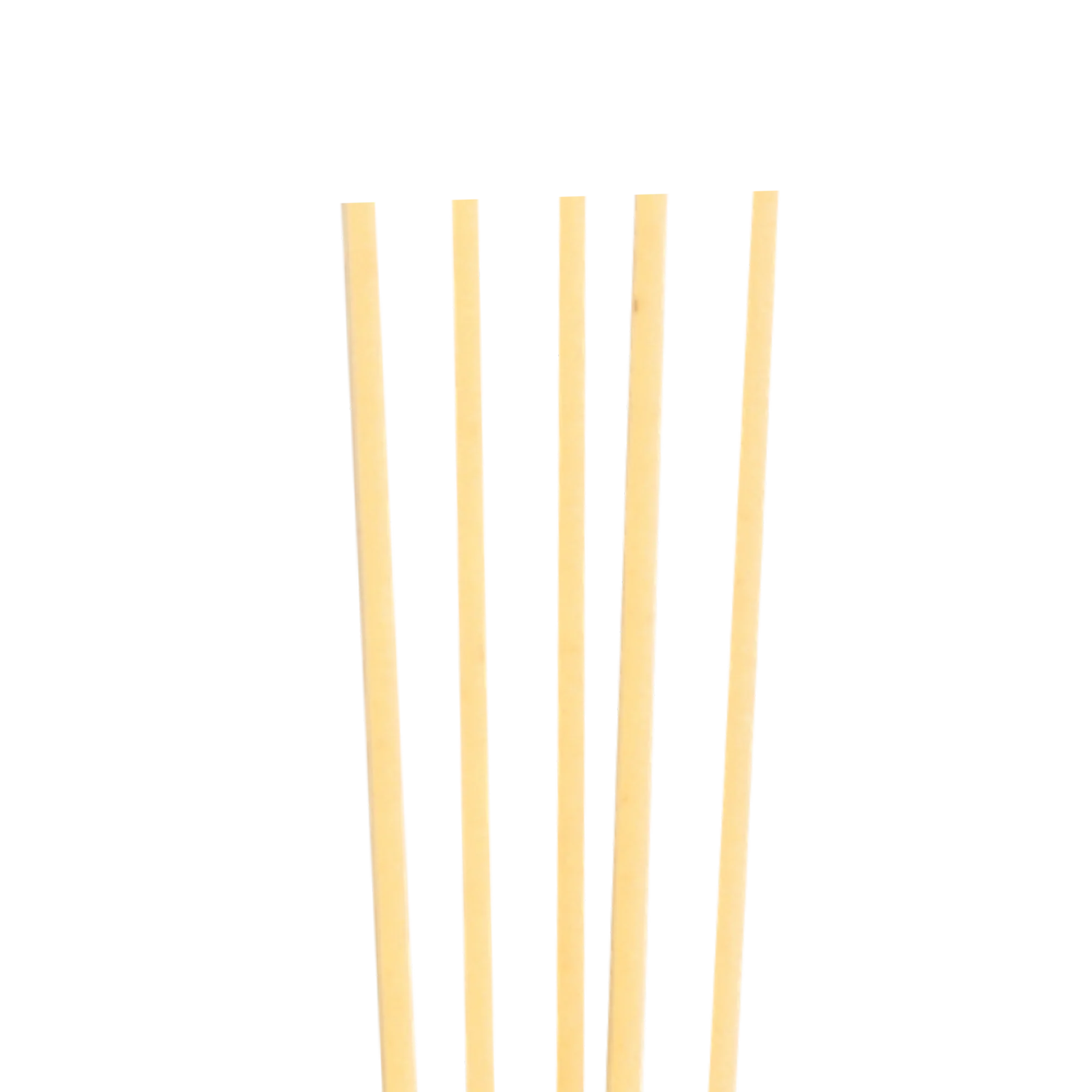 LO SPAGHETTONE - Image 2